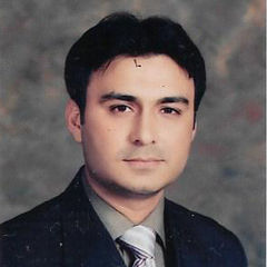 محمد علي ميمن, Business Development Manager