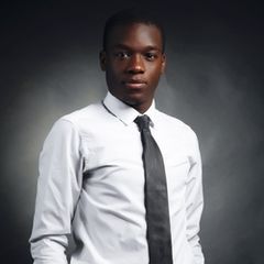 Bakary N'Diaye, Consultant / IT Manager