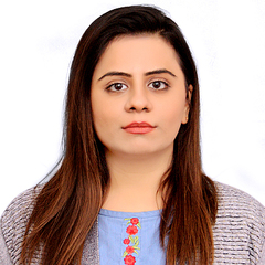 Arsa Nadeem, Senior Business Analyst / Consultant