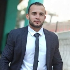 محمودمحمد نبيه عبد الحق, محاسب عام 