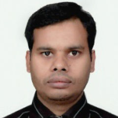 Krishna Kavin Rao, Team Leaders /Supervisors