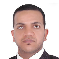 Mohamed Abdelrazek