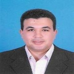 Ahmed El-Gamal, Specialist