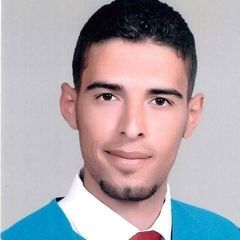 Alaa Al Dawagreh, Implementation Engineer