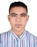 Mohamed Abdel Tawab Hussein Ali, Associate Auditor 1