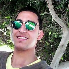 ISMAIL BAKR ISMAIL ABO HASHIESH