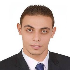 Mohamed Sofan