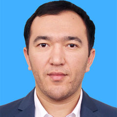 Alimardon Abdukarimov, Portfolio Risk Manager