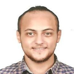 Mohamed adel ahmed  Elsobky
