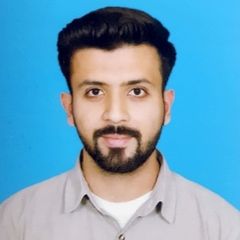 Muhammad Hassan, Business Analyst