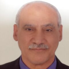 Mahmoud Hafez, Senior  Engineer for Utilities and Highways