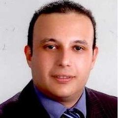 Ahmed ElEyoni, Audit Manger