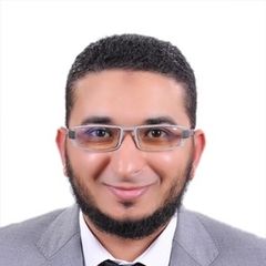 mustafa hamed, Experienced Technical Consultant 