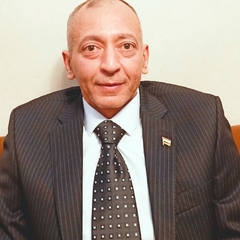 Mohamed Mahfouz Mostafa  Ibrahim