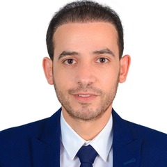 Mostafa Ali Mansy, AP Team Lead