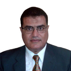 Khaled Elmandouh, Package Manager