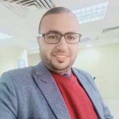 ALAAELDIN  ELDESSOKI