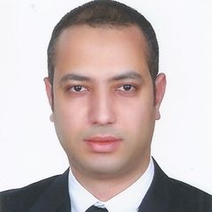 Adel Afifi, Senior Structural Design Engineer (Unlimited Engineer - Dubai Municipality)
