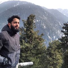 Moin Ali Wani, freelance