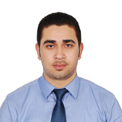 محمد ابراهيم ابراهيم الهبيان, استشاري مبيعات