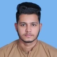 Hafiz Muhammad  Awais