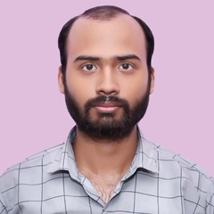 Vishul Kumar, Java Developer
