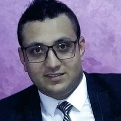 عمرو محمد ذكى عبدالوهاب سلامه, management team