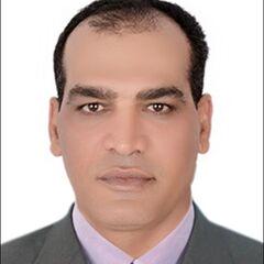 Ahmed Shalaby, Project Manager 