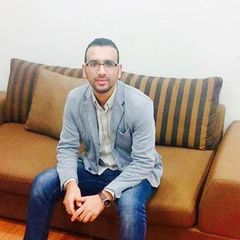 عبدالحى رضا, software developer