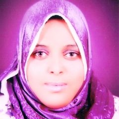 ساره رضا عبد الحكيم, Account Manager