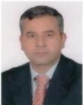 Ibrahim Taani, Freelance trainer, expert, and consultant in internal audit,  risk management compliance and finance