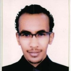 محمد أحمد محمد احمد, Logistics Coordinator