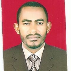 Mohammed Mohammed ahmed Ibrahim, مهندس استشاري