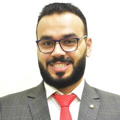 عاصم اللحام, Workshop Supervisor