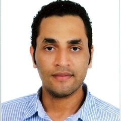 Mohamed Abouelwafa, Engineering team lead / Project manager 