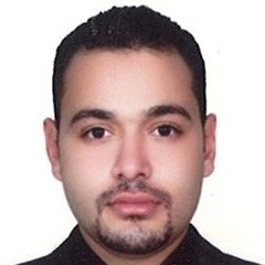 محمد عبد الفتاح, Project Manager 