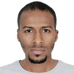 Muhammed Najmeldin Ibrahim, Executive Assistance, Information system, Graphic design, photographer 