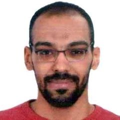 Ahmed abdelrahman, data entry