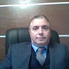 Sharafeldin Shehatah, Chief Executive Officer