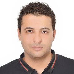 محمد السيد عطيه حكارش,  SENIOR QS - COST CONTROL  ENGINEER