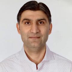 رضوان مرزا, Project Manager