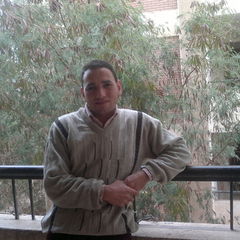 Omar Mohamed Omar Ahmed ghobashi, معلم رياضيات ابتدائي