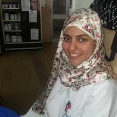 Zeinab Mansour, Analyst