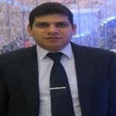 Adel Selim, Sales Office Manager