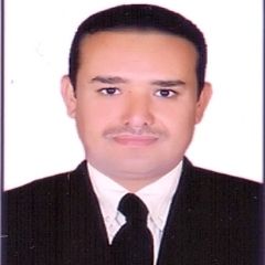 Faiz Ahmed Algobaei, مدرس