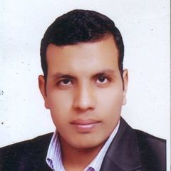 Ibrahim  Awad, Mechanical Engineer (Car workshops sector.