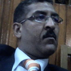 هشام كرم احمد حسن hassan, مدير تنفيذي
