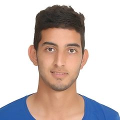 Imad Salhi, Informaticien