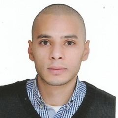 محمد رضا, Sales consultant
