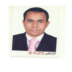 أحمد حسن,  Accounts Manager